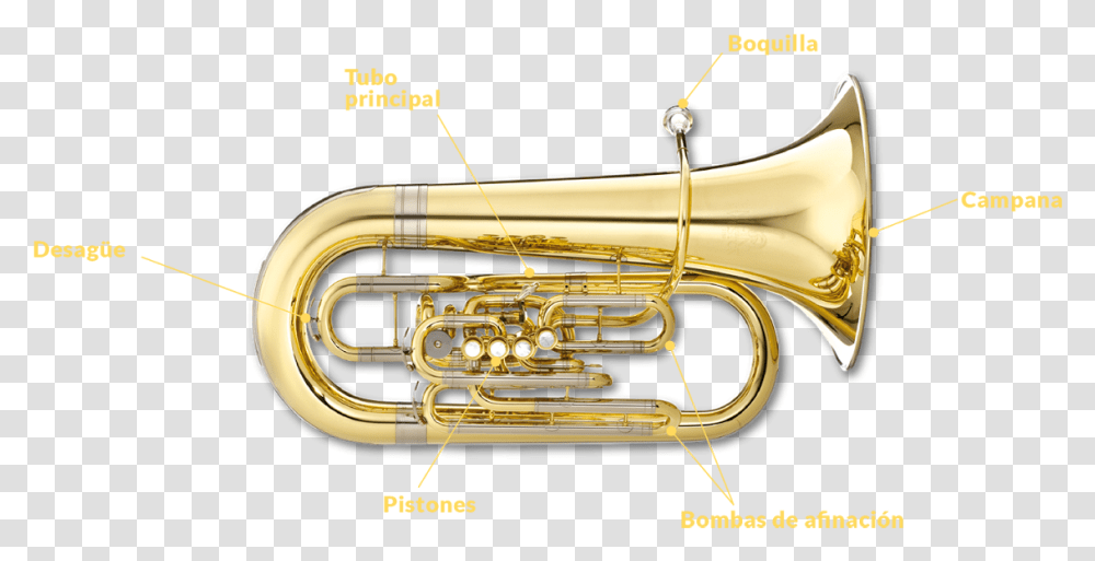 Partes De La Tuba, Horn, Brass Section, Musical Instrument, Euphonium Transparent Png