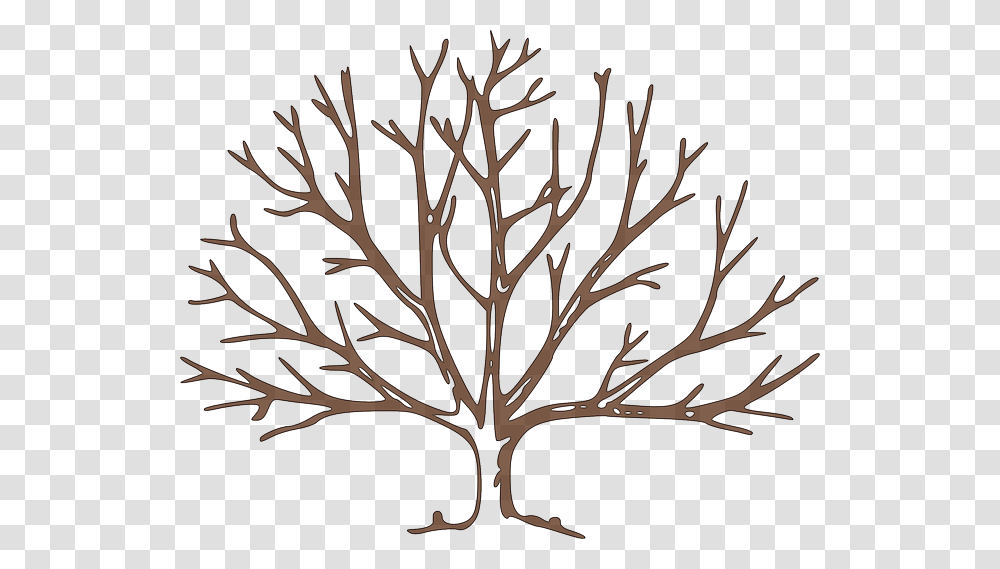 Partes Del Rbol Frutal Fall Tree Clipart, Leaf, Plant, Painting, Stencil Transparent Png