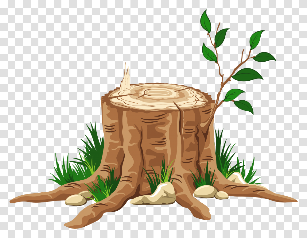Partial Tree Trunk Free Tree Stump Background Transparent Png