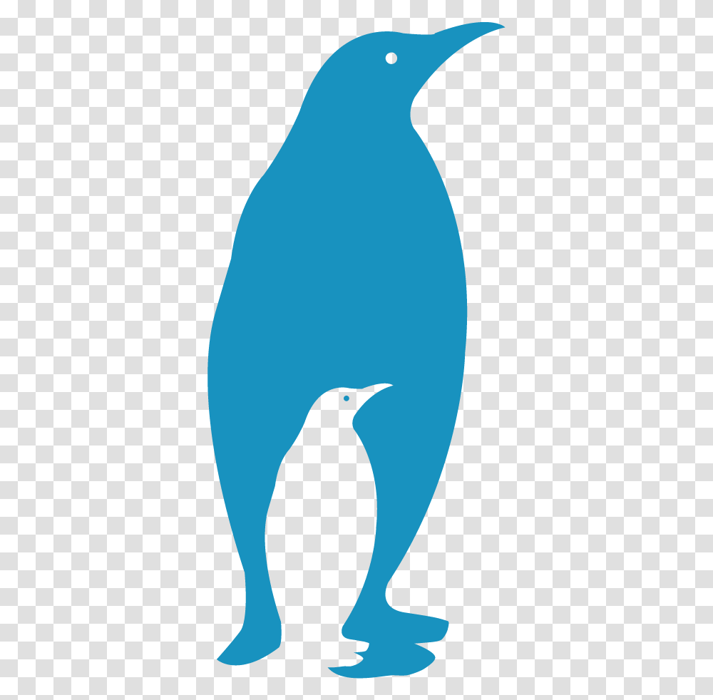 Participation Penguin, Bird, Animal, Sea, Outdoors Transparent Png