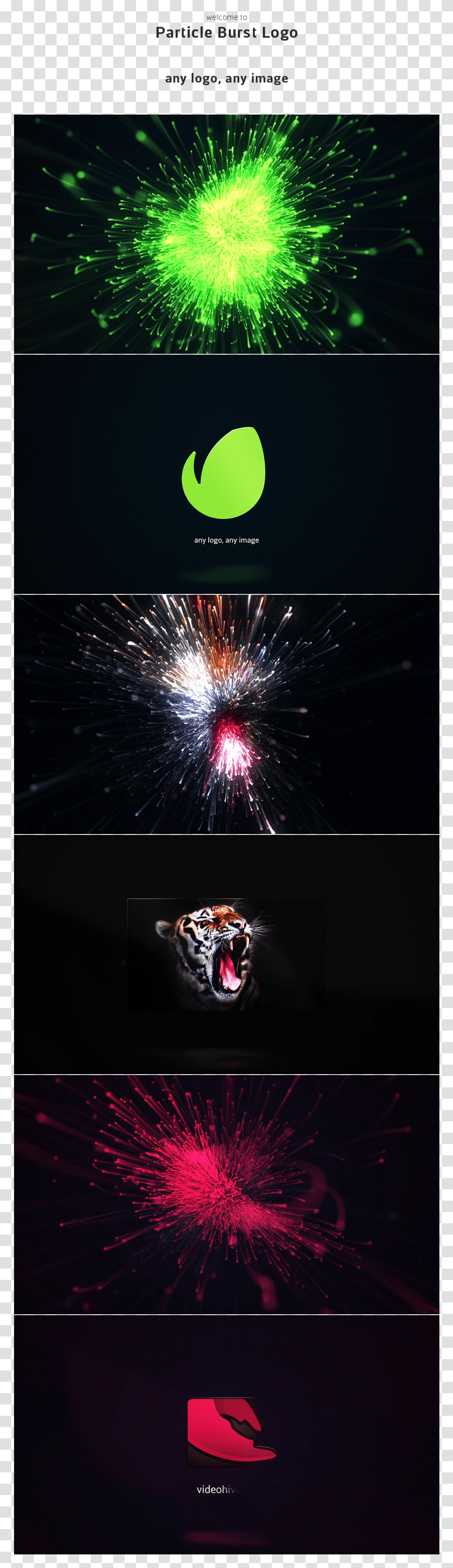 Particle Burst Logo After Effects Templates Fireworks Transparent Png