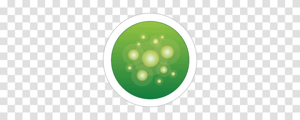 Particle Designer, Plant, Sphere, Green, Food Transparent Png