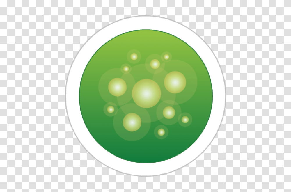 Particle, Plant, Sphere, Vegetable, Food Transparent Png