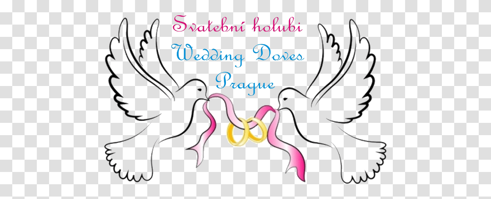 Partners Dove Of Peace Dove Of Peace Oval Ornament Full Lovely, Graphics, Heart, Flamingo, Bird Transparent Png