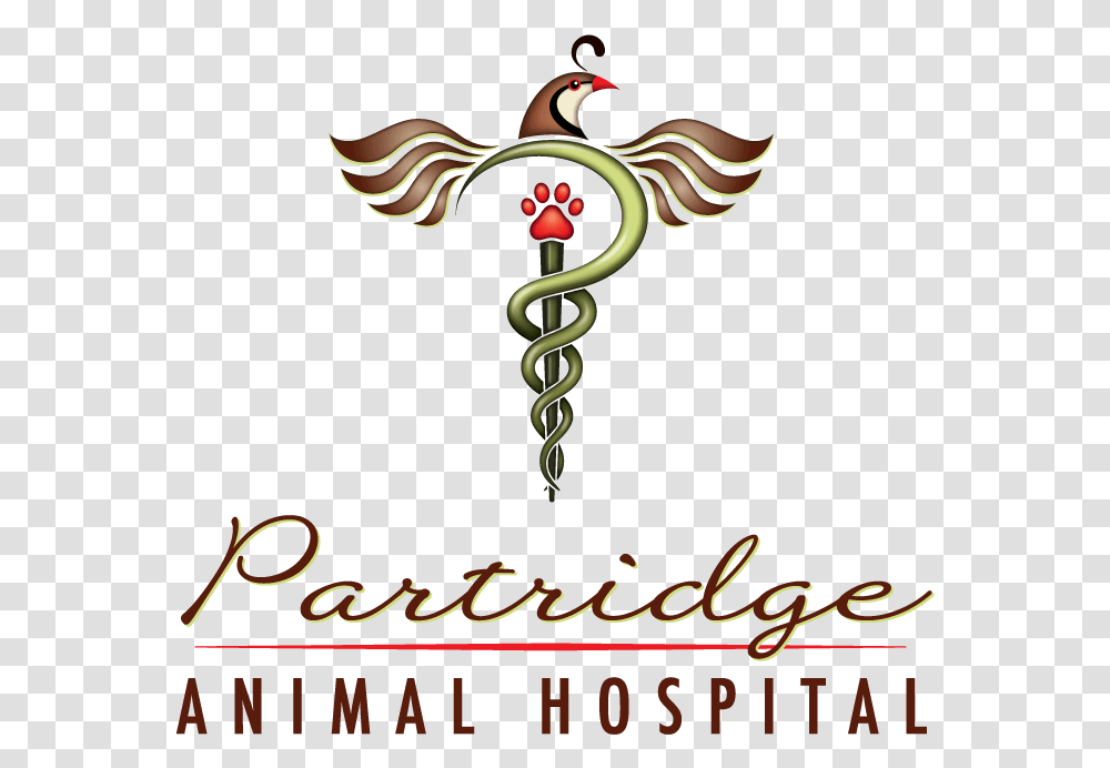 Partridge Animal Hospital Illustration, Cross, Bird Transparent Png