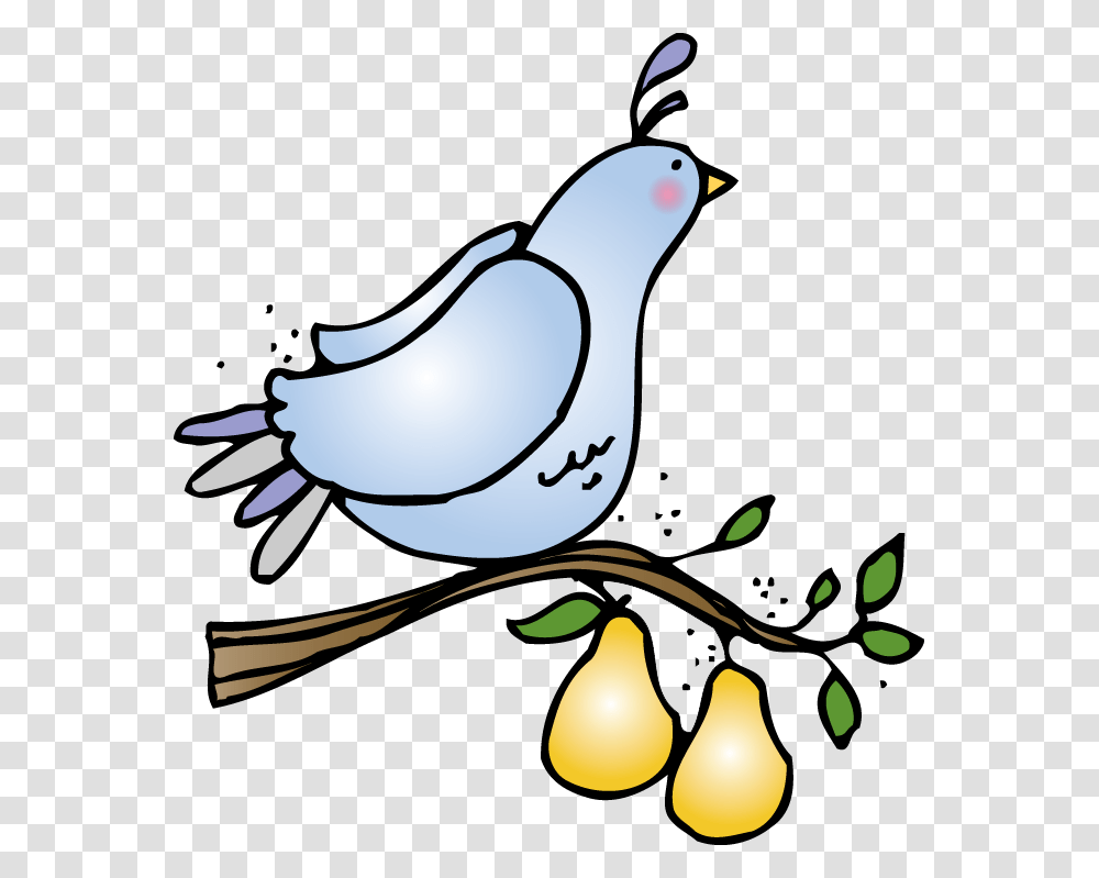 Partridge In A Pear Tree Clip Art Partridge In A Pear Tree Clip, Bird, Animal, Dove, Pigeon Transparent Png
