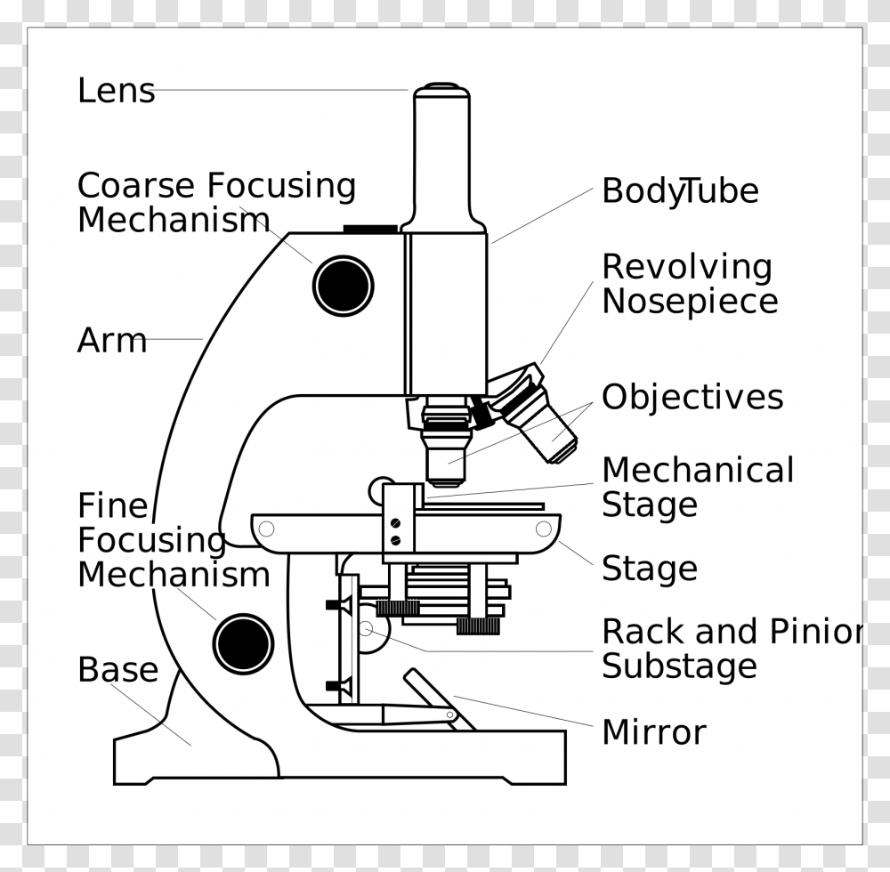 Parts Of A Microscope Clipart, Diagram, Plot Transparent Png