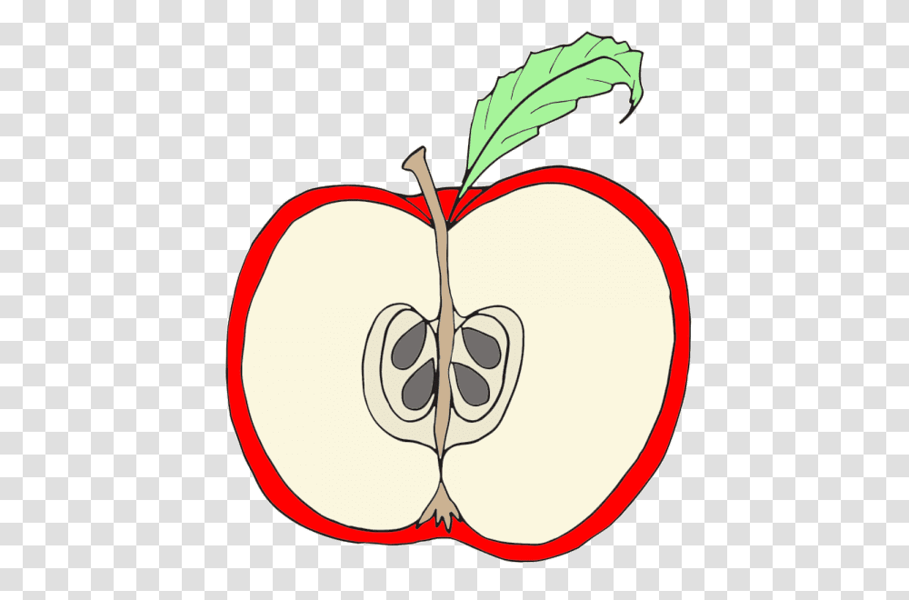 Parts Of An Apple Clipart Diagram Sample, Plant, Fruit, Food, Produce Transparent Png
