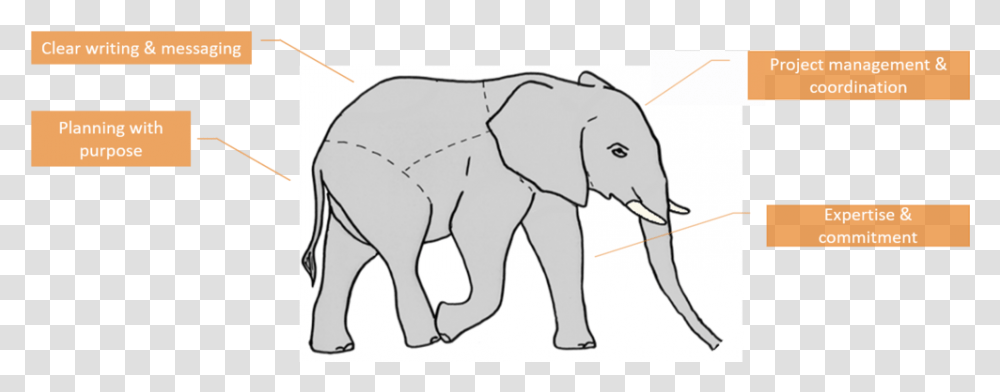 Parts Of An Maa Elephant Indian Elephant, Wildlife, Animal, Mammal, Dog Transparent Png