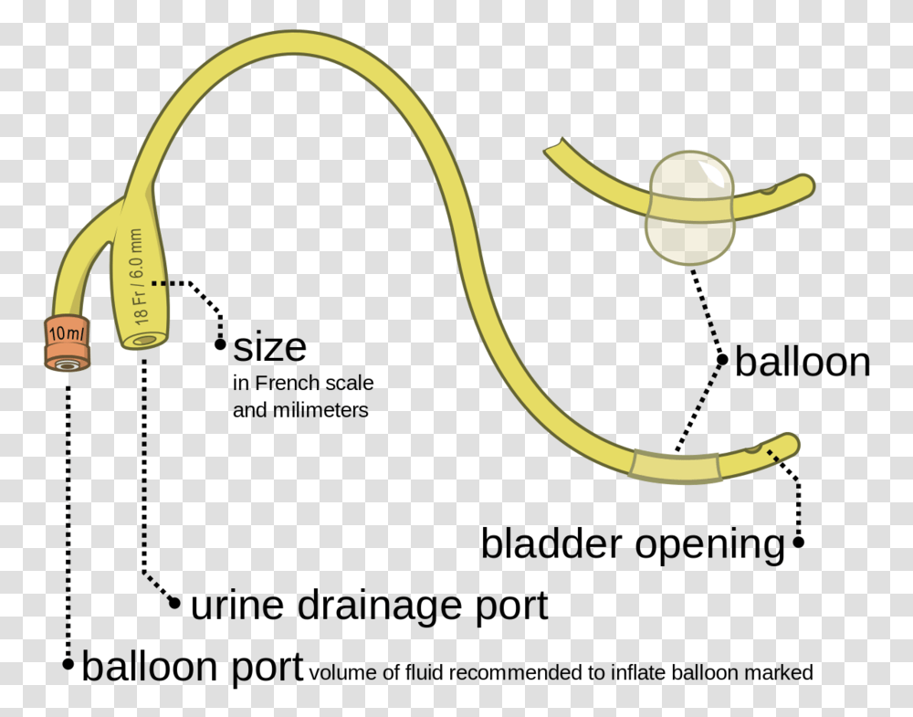 Parts Of Foley's Catheter, Electronics, Adapter, Plug Transparent Png