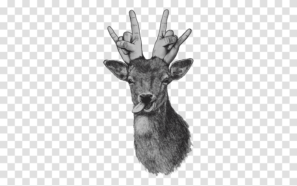 Party Animal Deer Icon Tumblr, Mammal, Wildlife, Person, Antelope Transparent Png