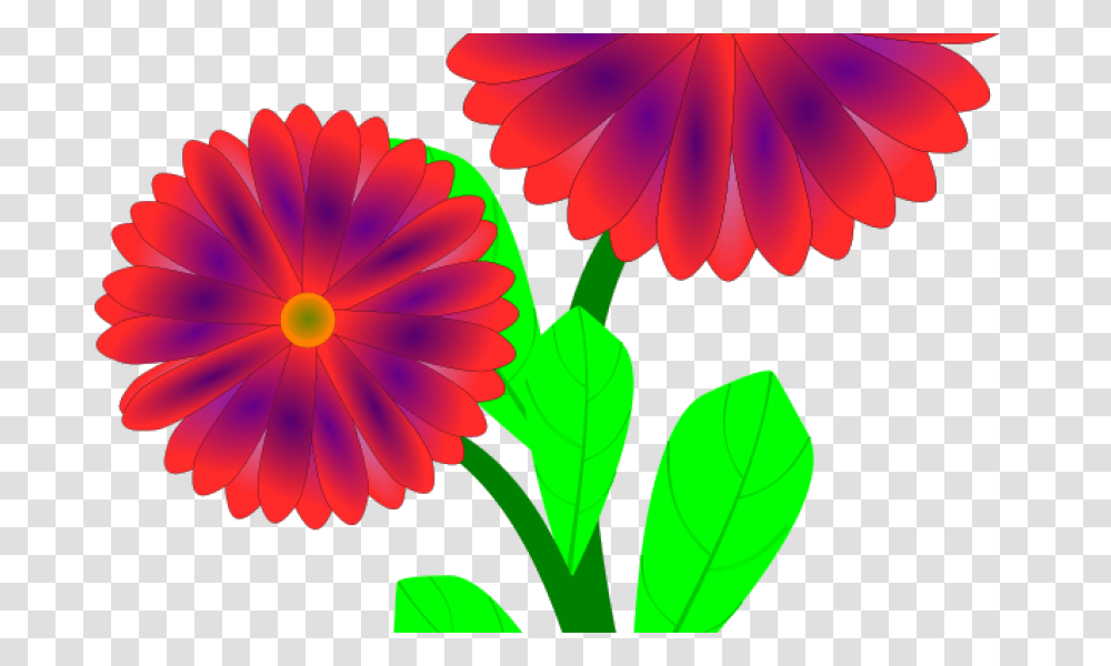 Party In The Garden Fylde, Plant, Daisy, Flower, Daisies Transparent Png