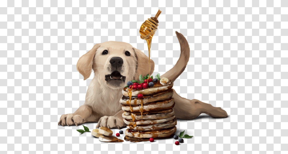 Party Labrador Retriever, Bread, Food, Dog, Pet Transparent Png