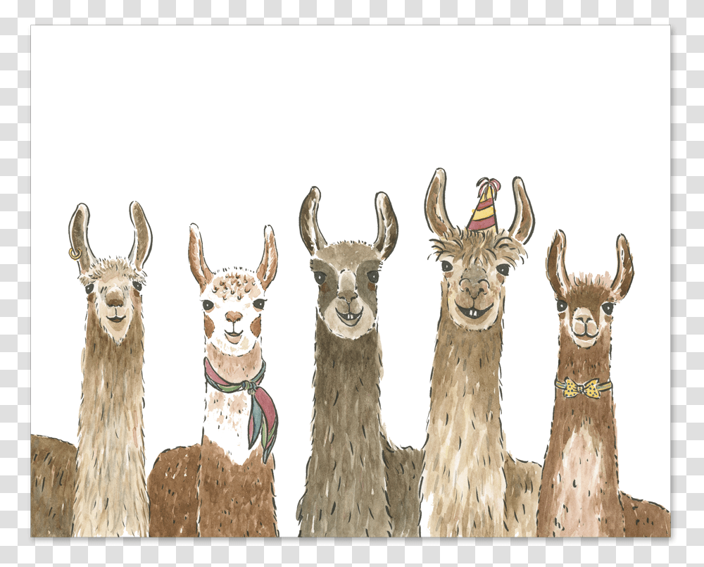 Party With These Llamas Llama Birthday Card, Mammal, Animal, Alpaca, Antelope Transparent Png