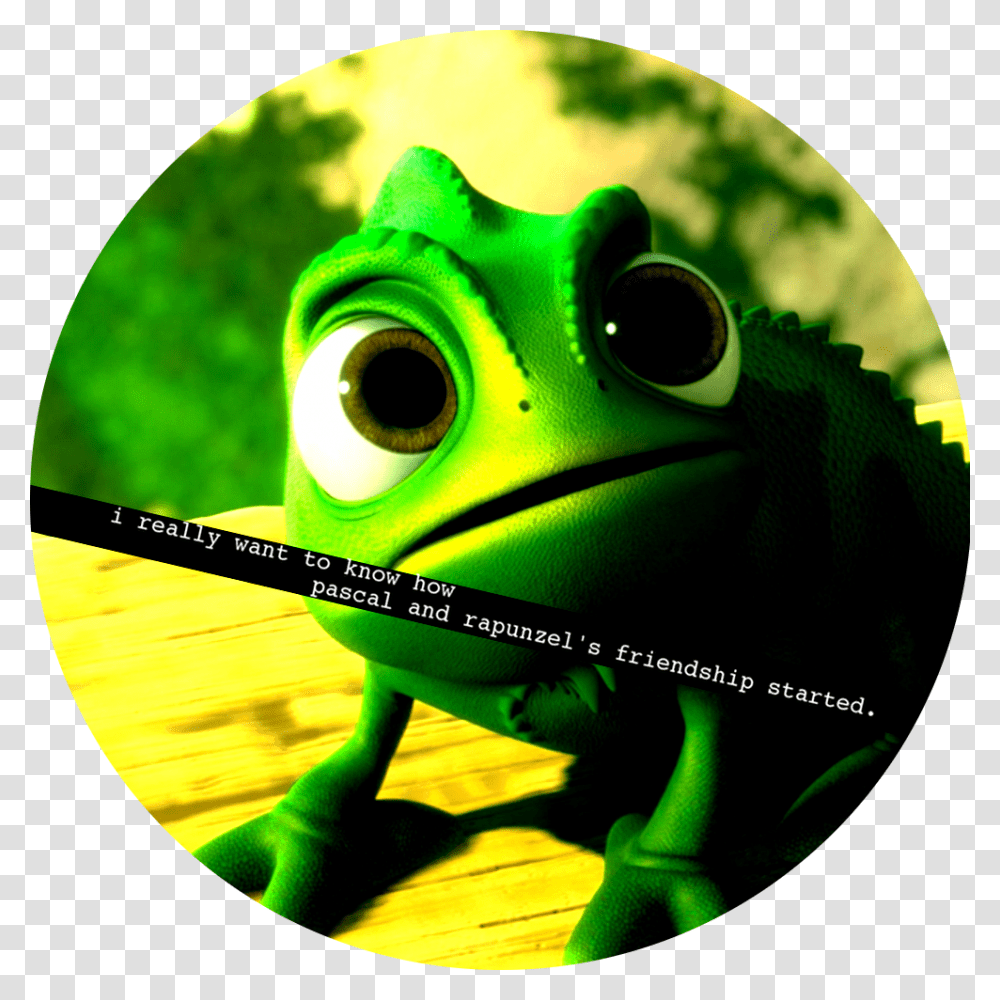 Pascal Tangled, Toy, Frog, Amphibian, Wildlife Transparent Png