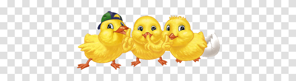 Paskha Album, Toy, Animal, Peeps, Bird Transparent Png