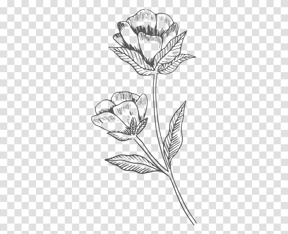 Pasqueflower, Floral Design, Pattern Transparent Png