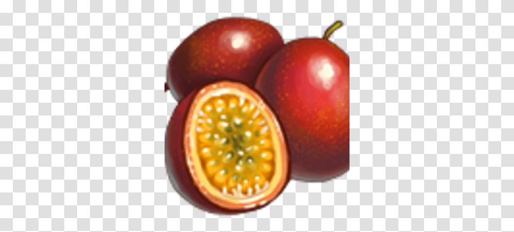 Passion Flower Knights And Brides Wiki Fandom Passion Fruit, Plant, Food, Sweets, Confectionery Transparent Png