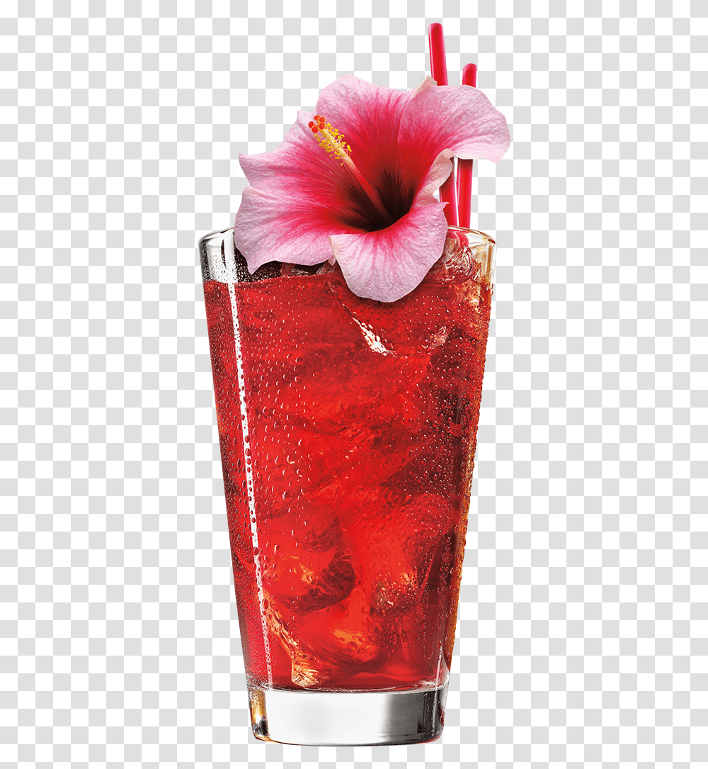 Passion Fruit And Hibiscus, Plant, Beverage, Petal, Flower Transparent Png