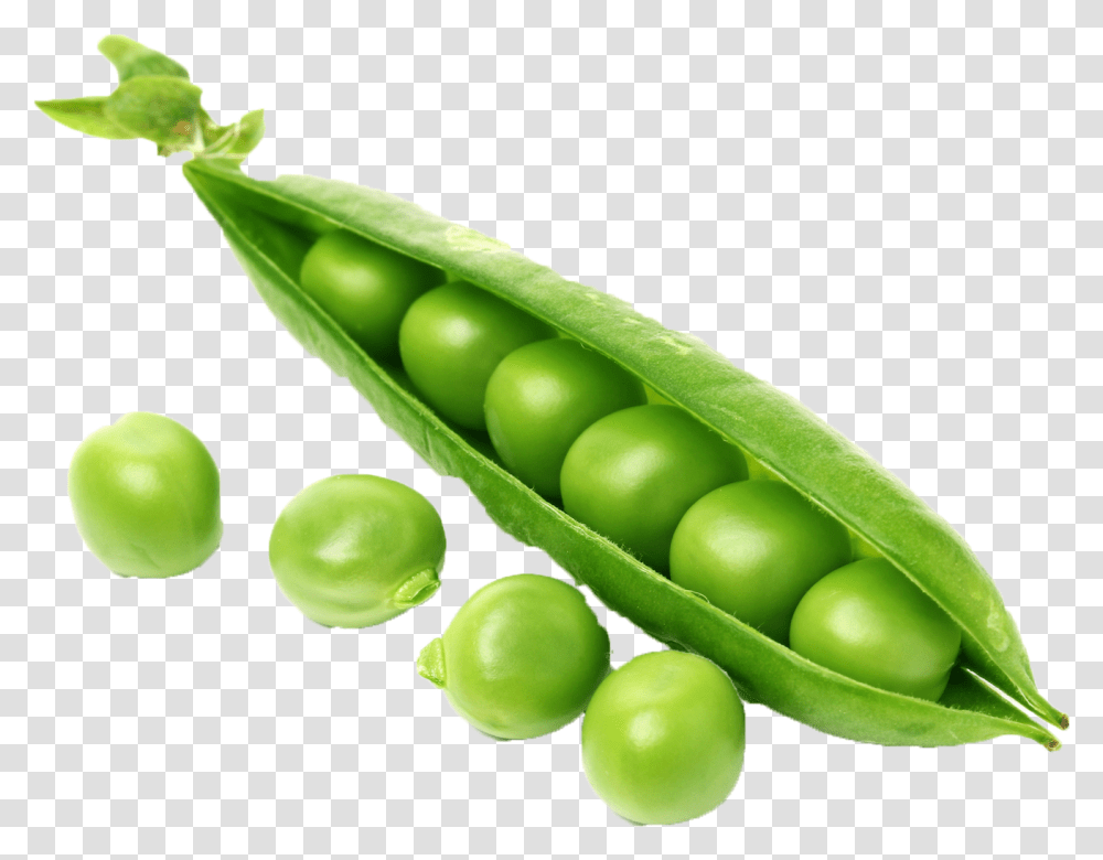 Pasta Salad Noodle Gnarly Pepper Like Mayo Plain Potassium In Peas, Plant, Vegetable, Food Transparent Png