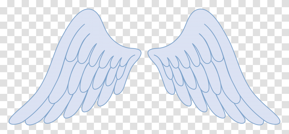 Pastel Blue Angel Wings Clip Art, Pattern, Bird, Animal, Jay Transparent Png