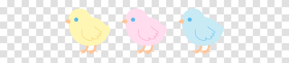 Pastel Clipart Cute, Bird, Animal, Canary, Fowl Transparent Png