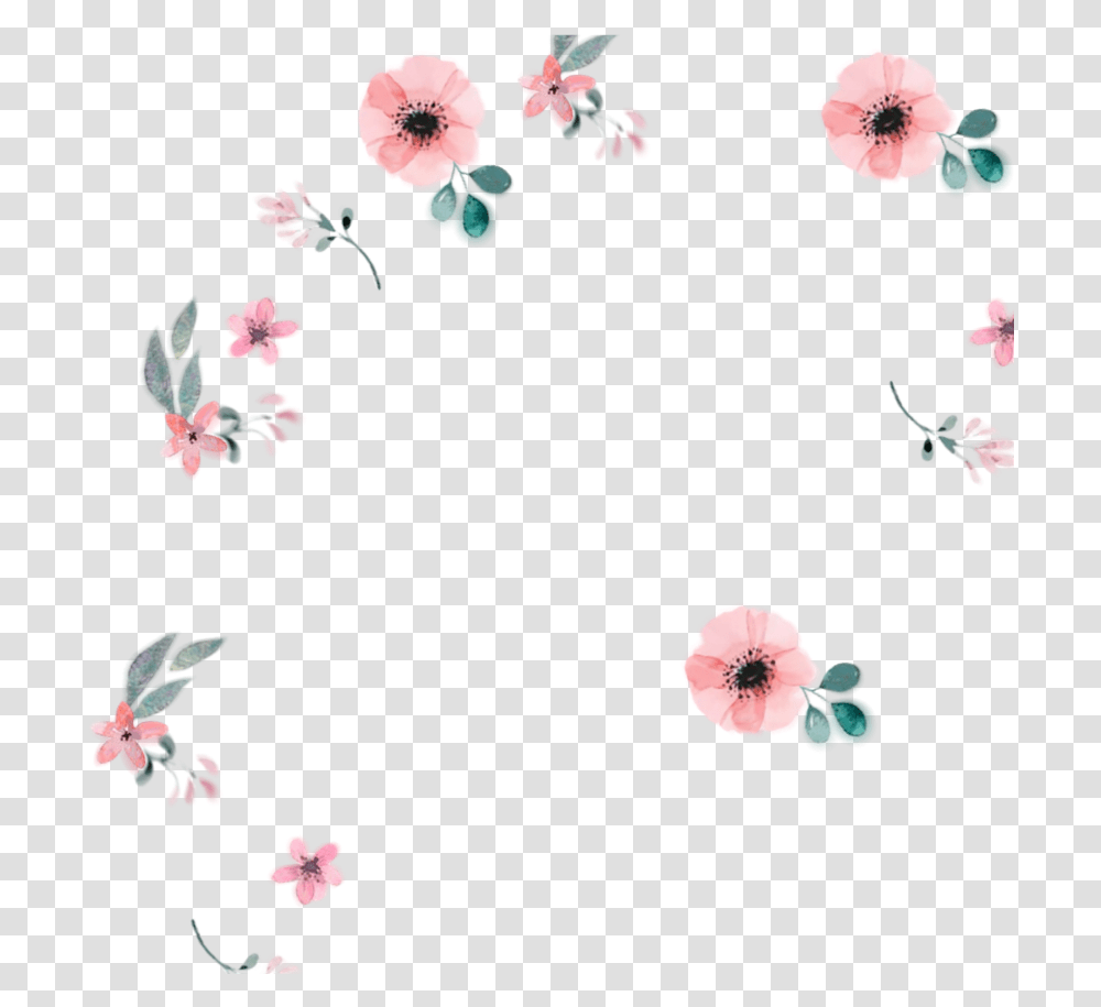 Pastel Floral Watercolor Background, Hibiscus, Flower, Plant, Blossom Transparent Png