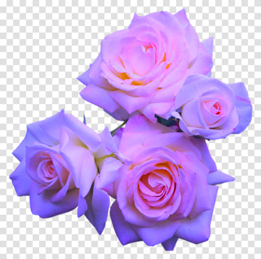 Pastel Flowers Background, Plant, Rose, Blossom, Flower Bouquet Transparent Png