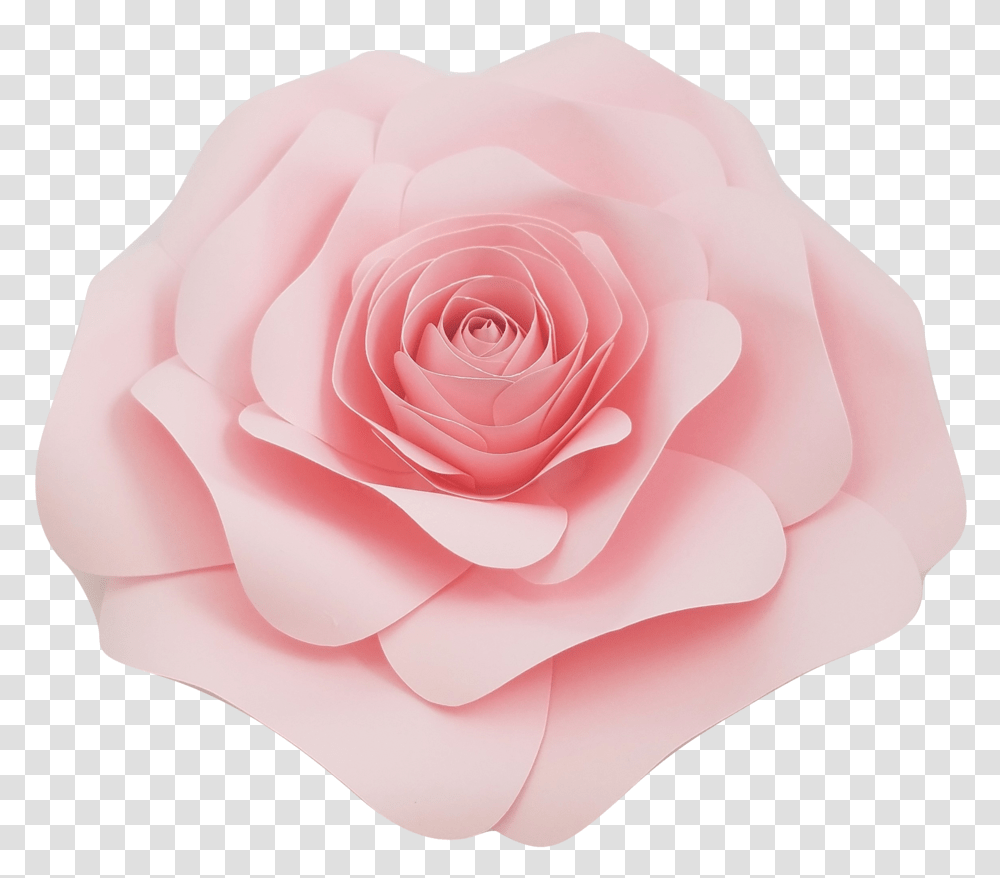 Pastel Pink Watercolour Flower, Rose, Plant, Blossom, Petal Transparent Png