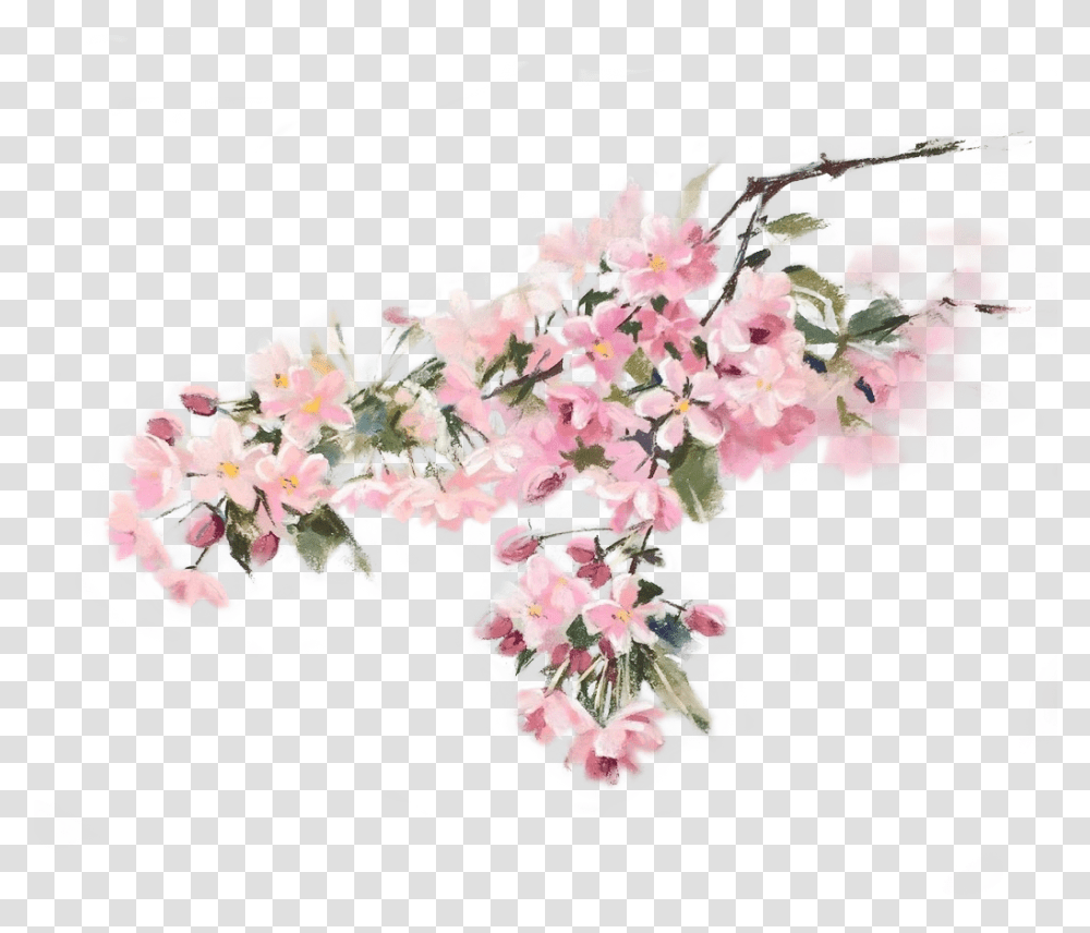 Pastel, Plant, Flower, Blossom, Cherry Blossom Transparent Png