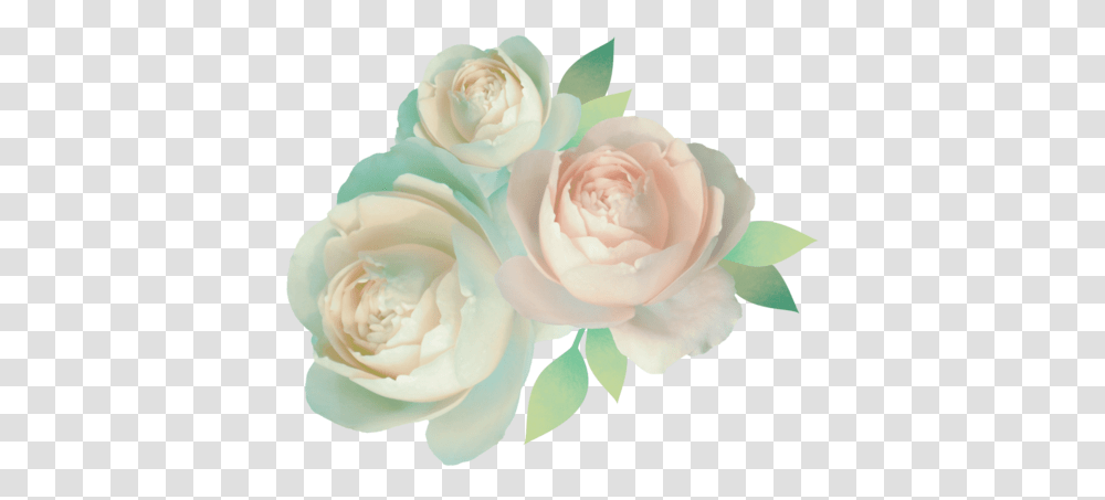 Pastel Rose, Flower, Plant, Blossom Transparent Png