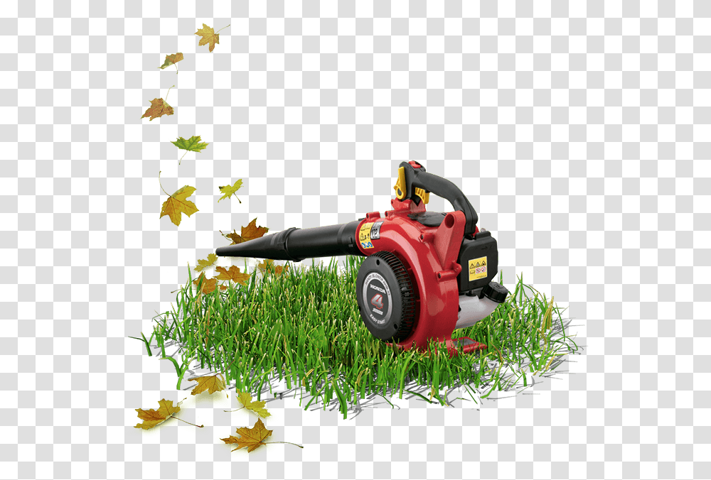 Pasto Honda Blower, Plant, Grass, Lawn Mower, Tool Transparent Png