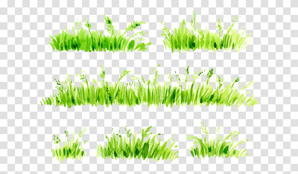 Pasto Watercolor, Grass, Plant, Green, Lawn Transparent Png