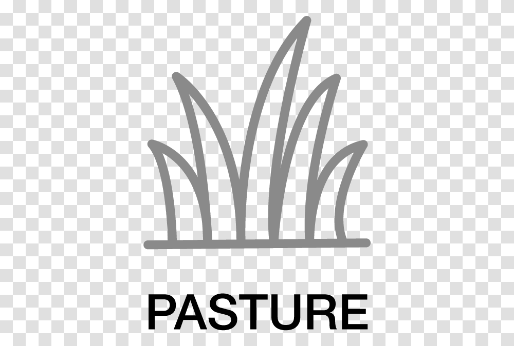 Pasture Icon, Accessories, Accessory, Jewelry, Crown Transparent Png