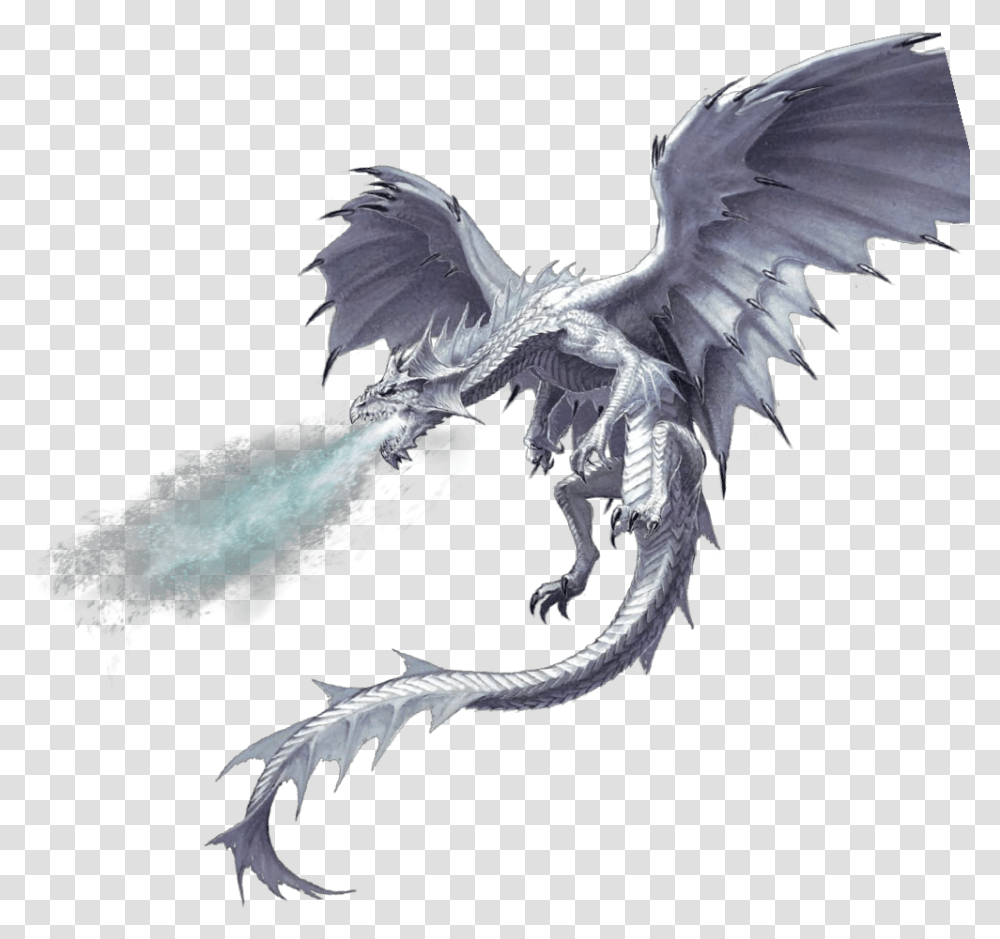 Pathfinder Imperial Sky Dragon, Dinosaur, Reptile, Animal, Bird Transparent Png
