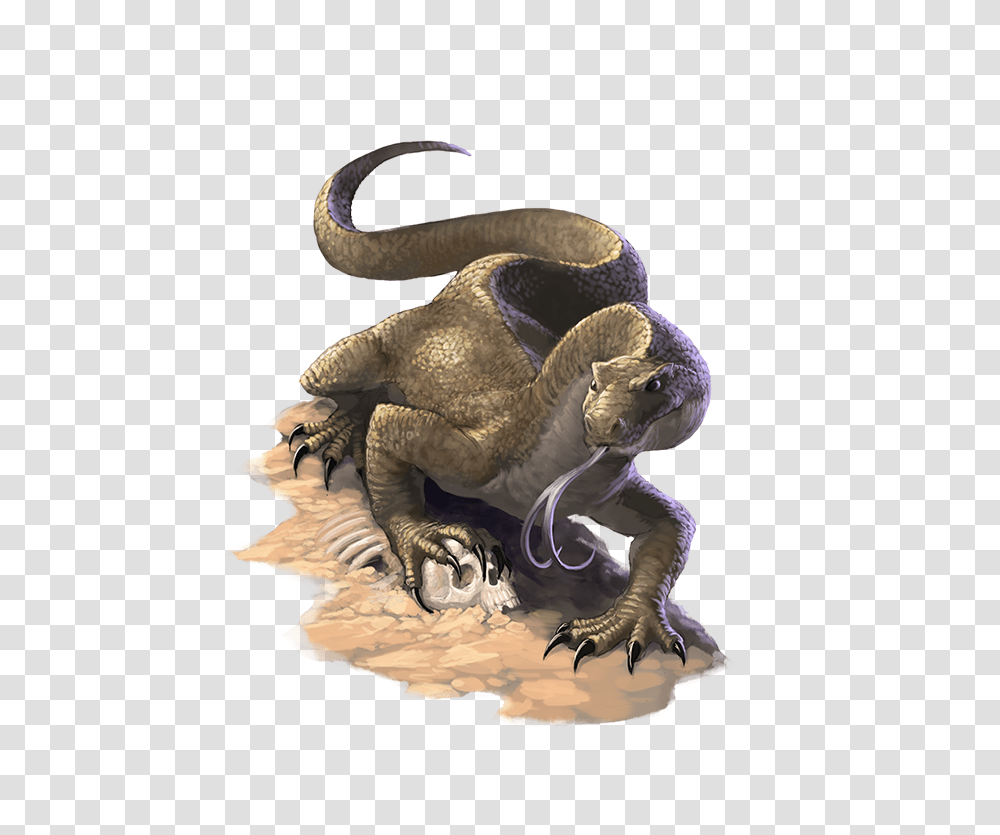 Pathfinder Monitor Lizard, Hook, Claw, Elephant, Wildlife Transparent Png