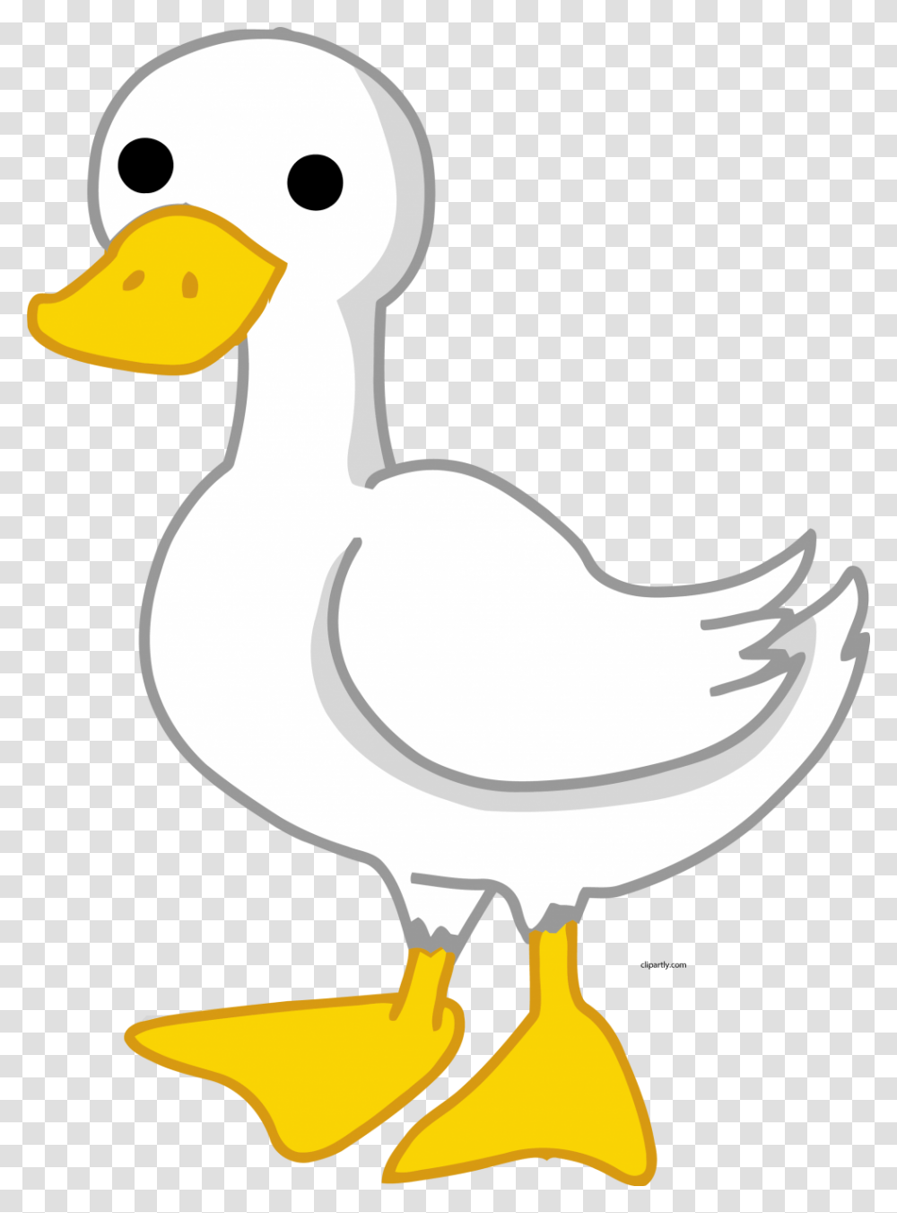 Pato Dibujo Para, Duck, Bird, Animal Transparent Png