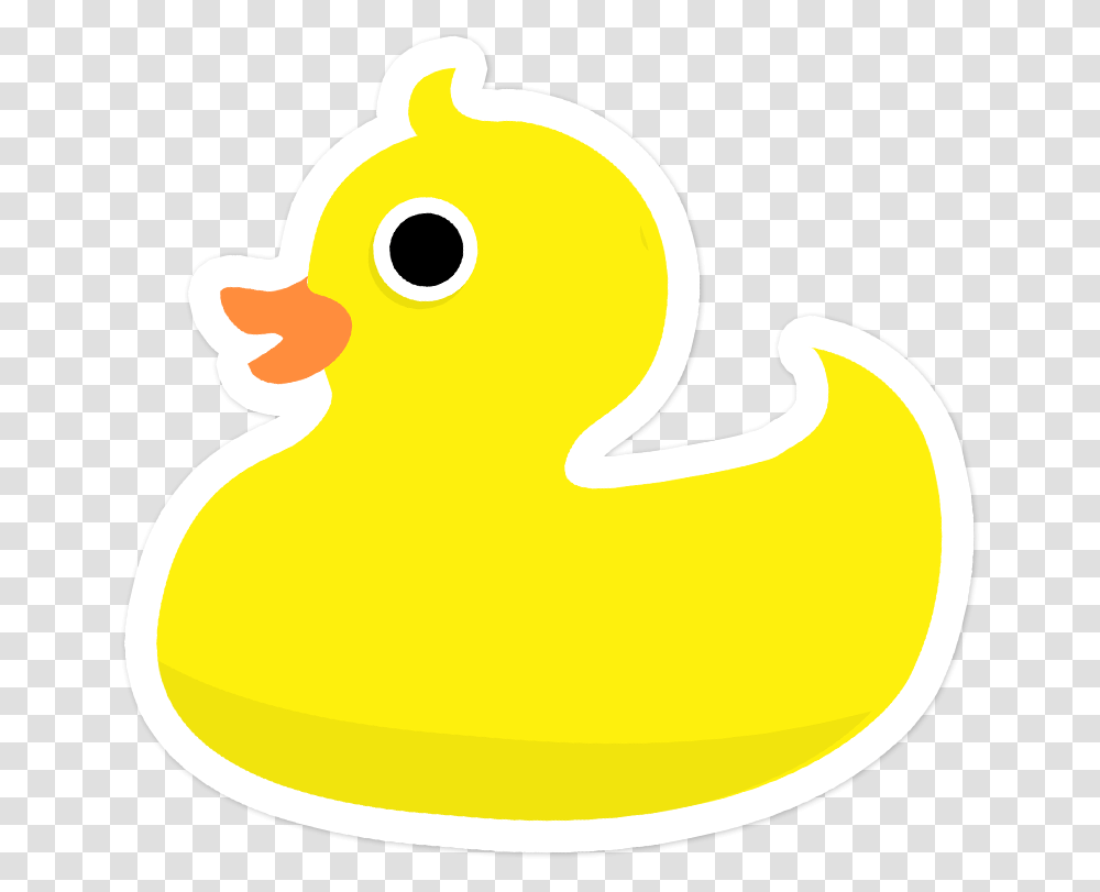Pato Download Duck, Animal, Bird, Poultry, Fowl Transparent Png