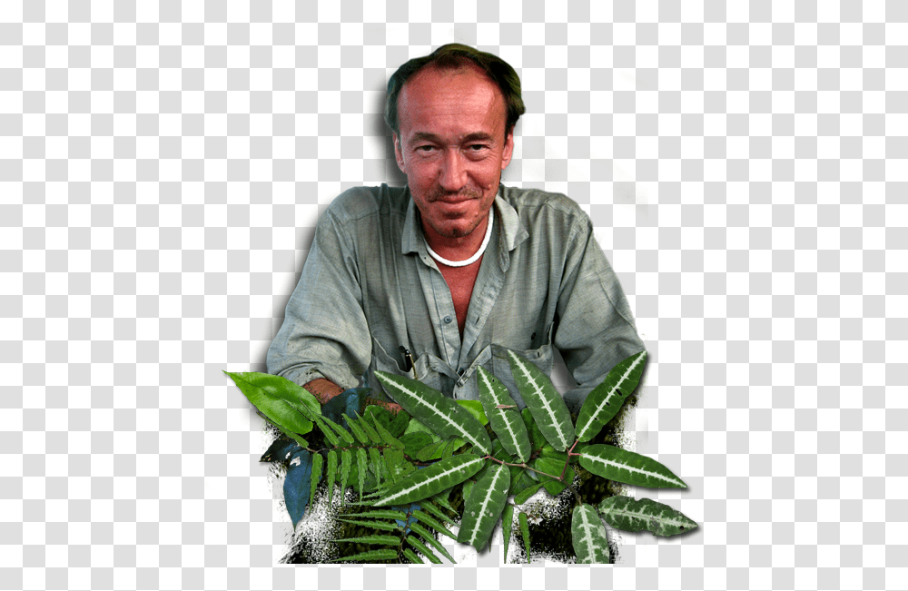 Patrick Blanc Patrick Blanc, Plant, Person, Leaf, Potted Plant Transparent Png