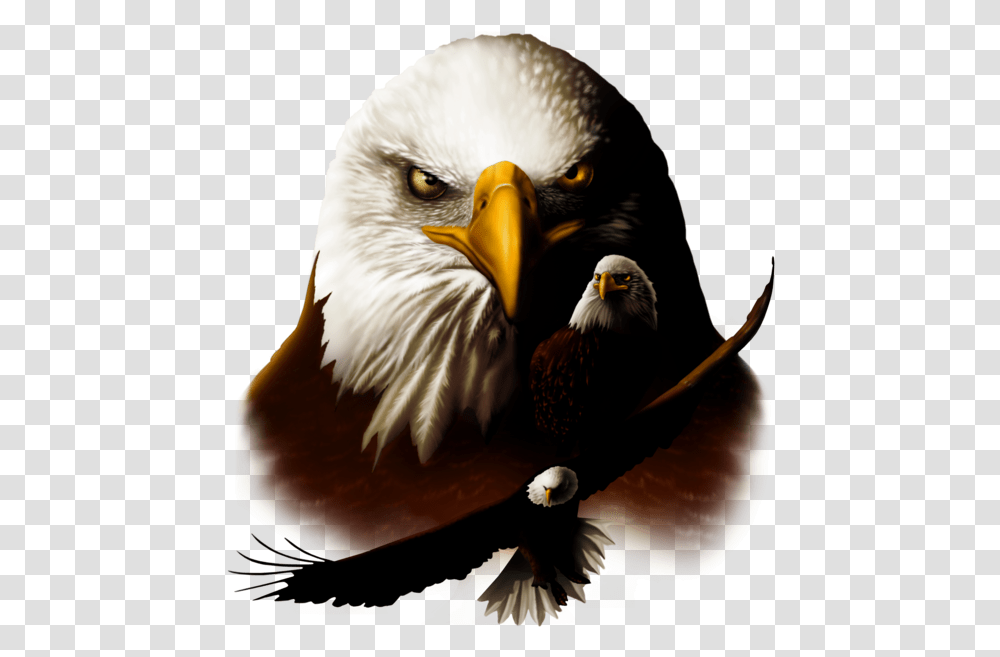 Patriotic Bald Eagle Clipart Beautiful Eagle Head, Bird, Animal, Beak Transparent Png