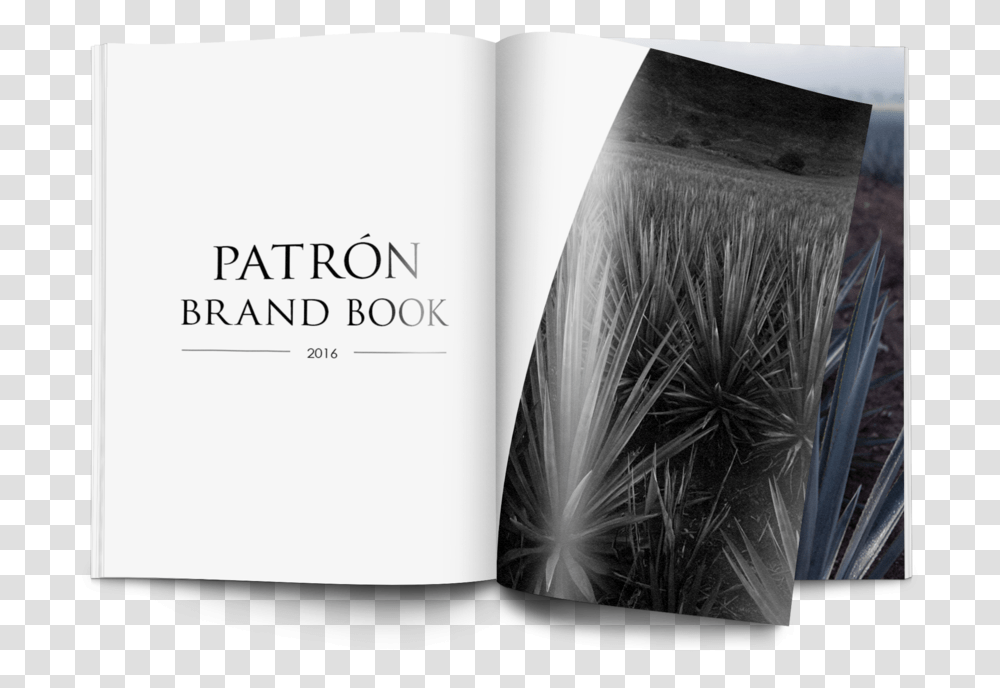 Patron Bb1 Book Cover, Page, Paper, Novel Transparent Png