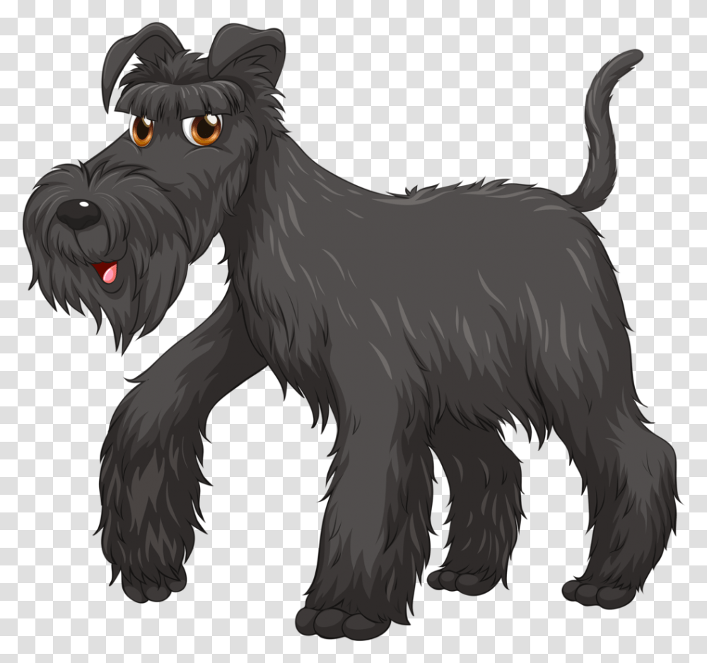 Pattern And Schnauzer, Animal, Mammal, Chicken, Poultry Transparent Png