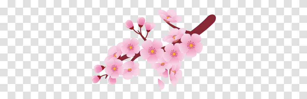 Pattern Drawing Cherry Blossom Flower Cherry Blossom Clipart, Plant, Petal Transparent Png
