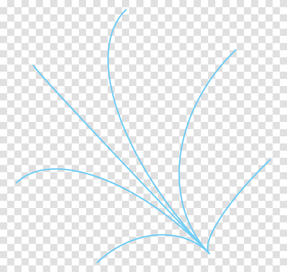 Pattern, Bow, Floral Design Transparent Png