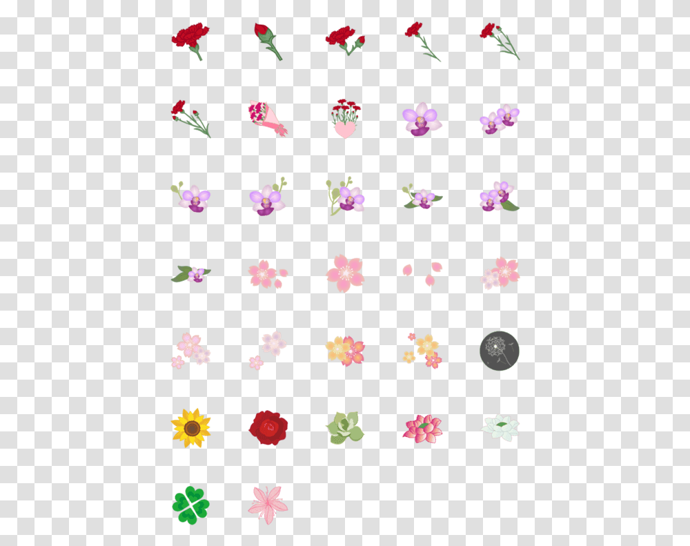 Pattern, Petal, Flower, Plant, Blossom Transparent Png