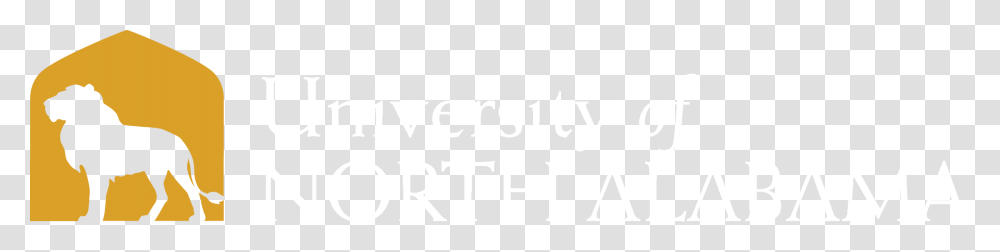 Pattern, White, Texture, White Board Transparent Png