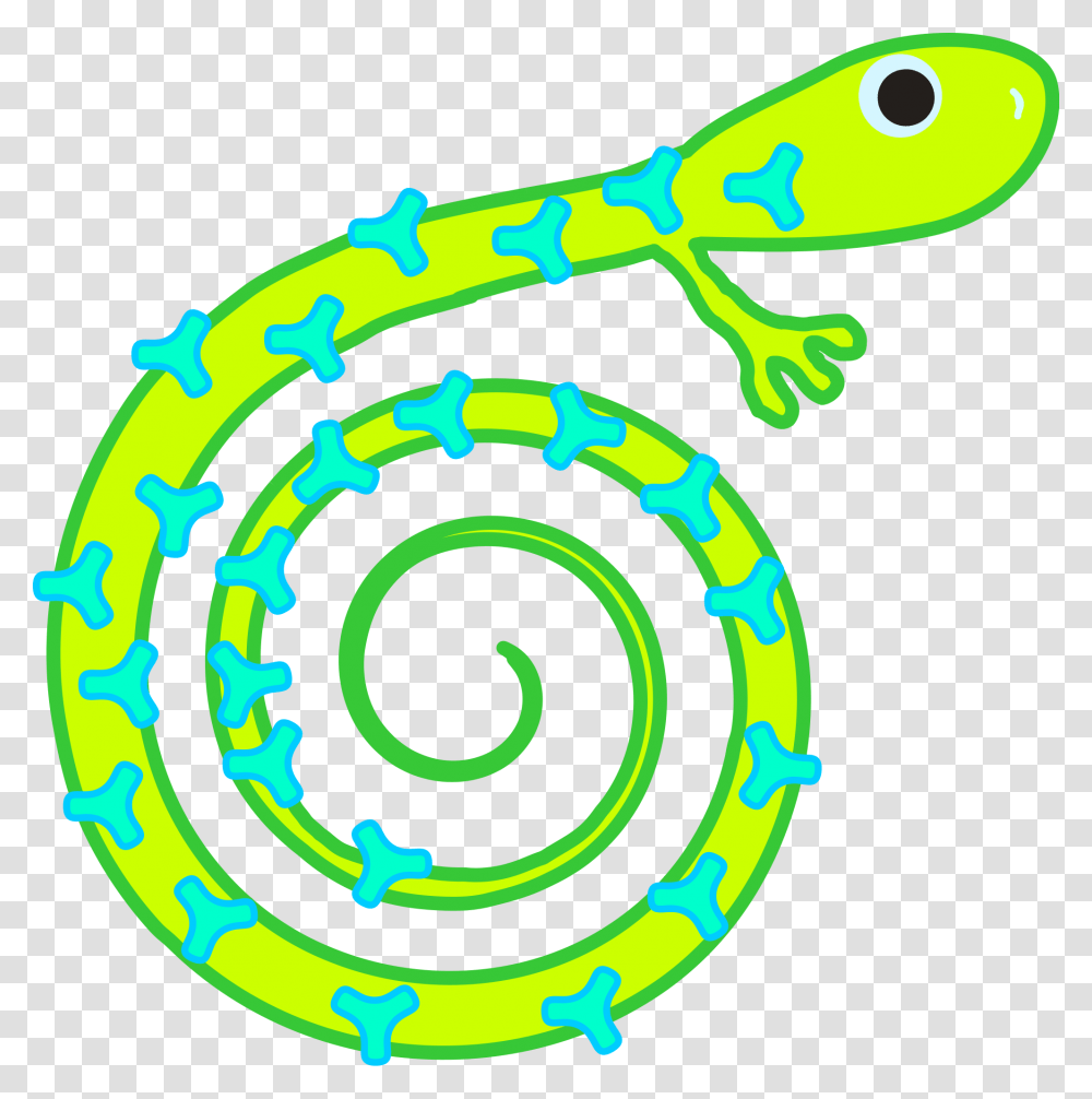 Patterned Reptile, Spiral, Animal, Amphibian, Wildlife Transparent Png