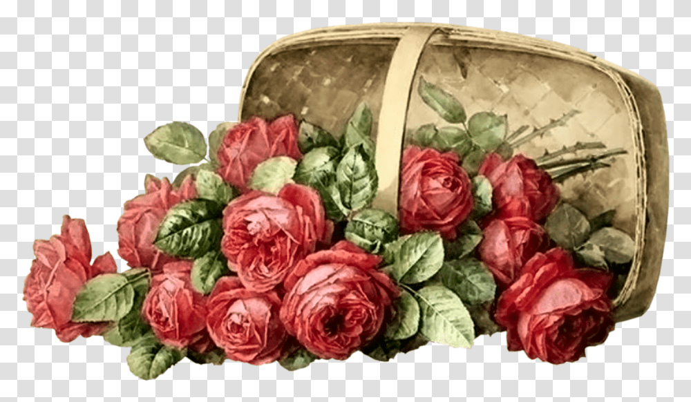 Paul De Longpre Rose And Bumblebee, Plant, Flower, Blossom, Flower Bouquet Transparent Png