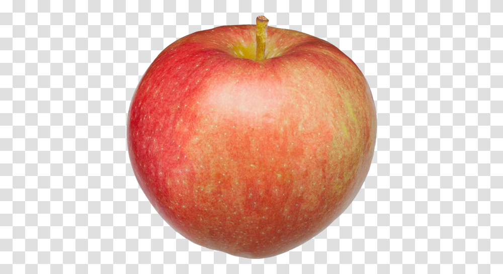 Paula Red, Apple, Fruit, Plant, Food Transparent Png