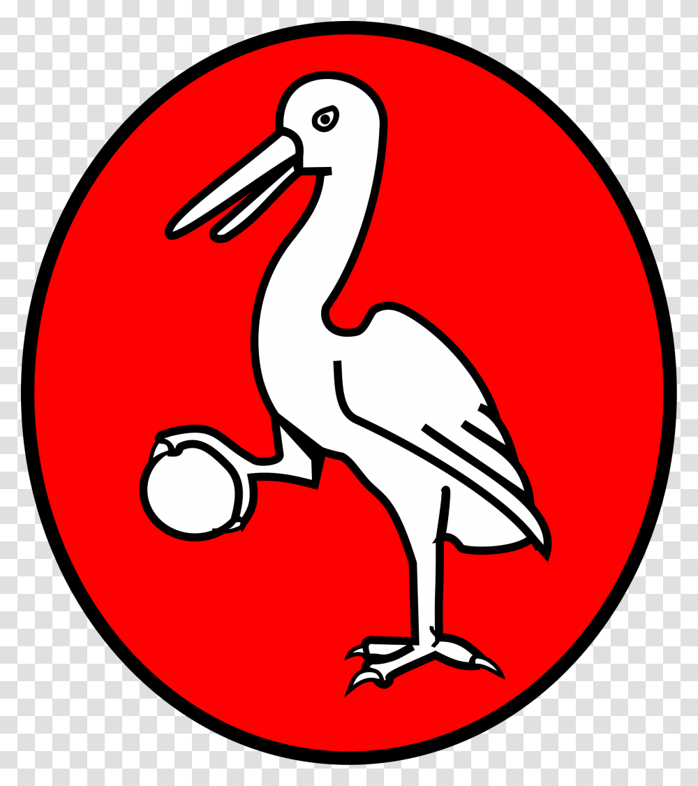 Paus Coa, Stork, Bird, Animal, Flamingo Transparent Png